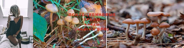MDMA Мегион