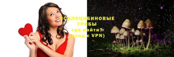 MDMA Медвежьегорск